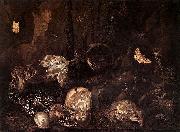 Otto Marseus van Schrieck Still life with Insects and Amphibians oil painting